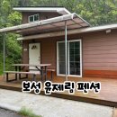 수국펜션 | 보성 숙소 추천 윤제림 숲속의집 후기 수국정원 있는 보성 펜션 감성숙소