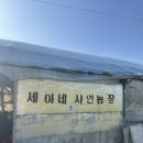 세아농장 이미지
