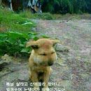 안녕하세요 이미지