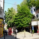 자연을 닮은 집 이미지