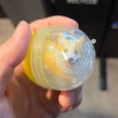 상원세차장 | 251223-27 일상!