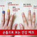 오장육부 Daum카페