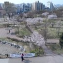 부평공원 이미지