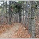 삼각산 누리길 이미지