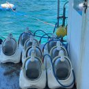 보드랍개 | 🇲🇾 코타키나발루 투어 01. 코타플레이 “마린팩”