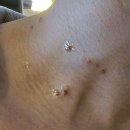 연세88마취통증의학과의원 이미지