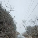 삼보쉼터 이미지