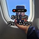 (유)평화항공여행사 | 베트남여행 :) 푸꾸옥 패키지 여행 1일차(F. 모벤픽리조트/ 가든커피 / 편한여행사) 광고협찬X