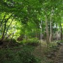 양평 힐인힐 야영장 이미지