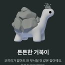 튼튼한거북이 이미지