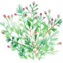 와촌면사무소 이미지