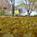 임고초등학교 이미지