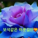 💕선택된 사람만 들어갈수 있는 미국의 관광지😲😁💛💚💜💖 이미지