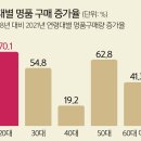 現 2030세대가 “허세 피라미드의 최대 수혜자”인 이유 (어제 이어서...) 이미지