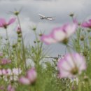 인천국제공항 하늘정원 내 이미지