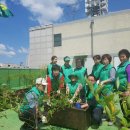 대명5동 주민센터 이미지