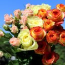 청풍명월농장 이미지