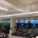 피트니스 웰시 분당정자점 이미지