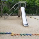 대전구봉초등학교 이미지