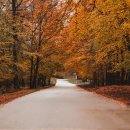 가을여행 이미지