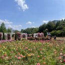 오산 수원근교 강아지와 함께하는 고인돌 공원 나들이 반려동물 동반 여행지 추천