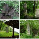 백운면행정복지센터 이미지