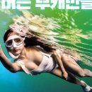 프리다이빙 스쿠버다이빙 교육 자격증과정!!