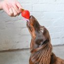 윤슬동물병원 이미지