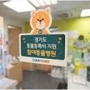 죽전쿨펫동물병원