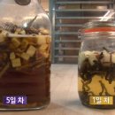 모찌모찌브레드 티스토리