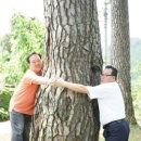 도마2리(탑동) 이미지