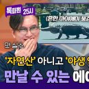 1월6일 톡파원 25시 ＂자연산 아니 야생 악어＂ 매번 죄송 이슈 만드는 썬킴의 말실수 영상 이미지