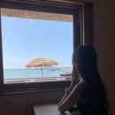 하늘바다상회 이미지