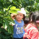 옥성농장 이미지