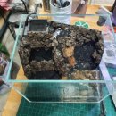 숲속작은개울 이미지