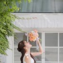 디어포우 이미지