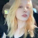 이사라헤어