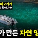 선외기 벵에돔 낚시 이미지