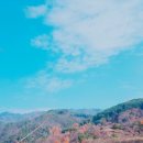 횡성 별빛마을 캠핑장 이미지