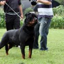 쥬쥬클럽 이미지