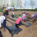 화지6리 이미지