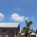 코코트리 이미지