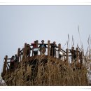 365계단 Daum카페