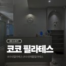 분당-402 | 분당 수내동 코코필라테스 수내점 그룹 필라테스 후기