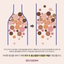 피어나스킨&바디