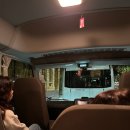 동방주유소 | 여행 day2. 그레이트 오션로드 투어 (조이투어) 내돈내산 후기, 야생 코알라 목격, 울월스 소고기 추천