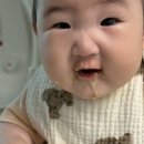 얌이밀: 1.5단계(초기2) 무료 체험팩 후기 (소고기감자배죽, 닭감자브로콜리죽) 신청방법 입자감