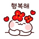 모던코드 이미지