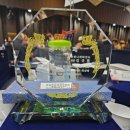 금빛나래태권도장 이미지