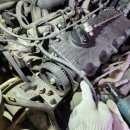 싱싱카 - 정비 이미지